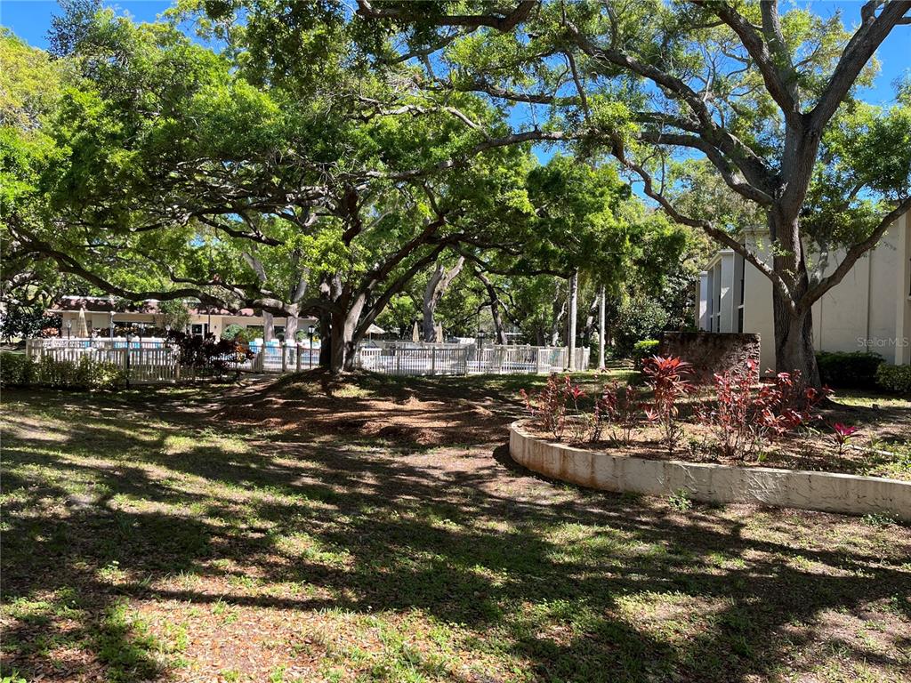 870 Virginia Street, Unit 111 Dunedin, FL 34698 - Photo 32 of 43