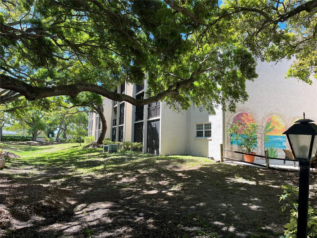 870 Virginia Street, Unit 111 Dunedin, FL 34698 - Photo 33 of 43