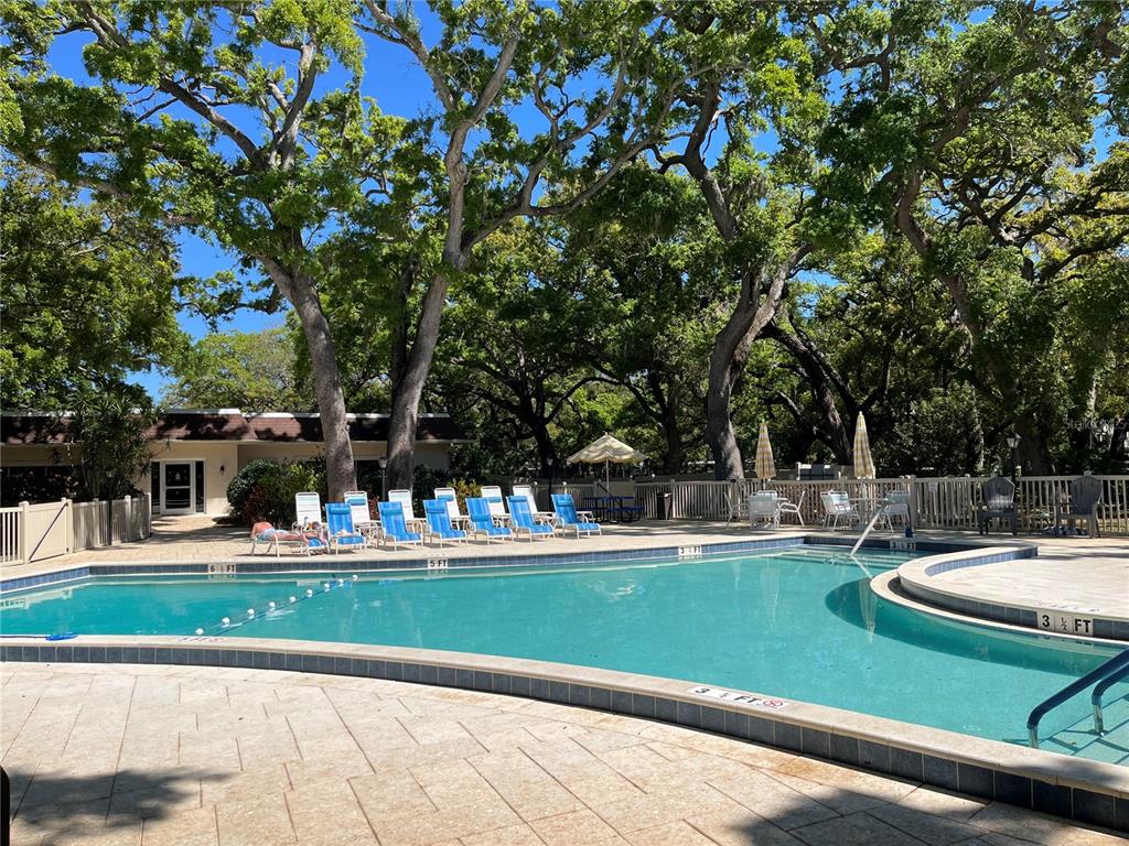 870 Virginia Street, Unit 111 Dunedin, FL 34698 - Photo 37 of 43