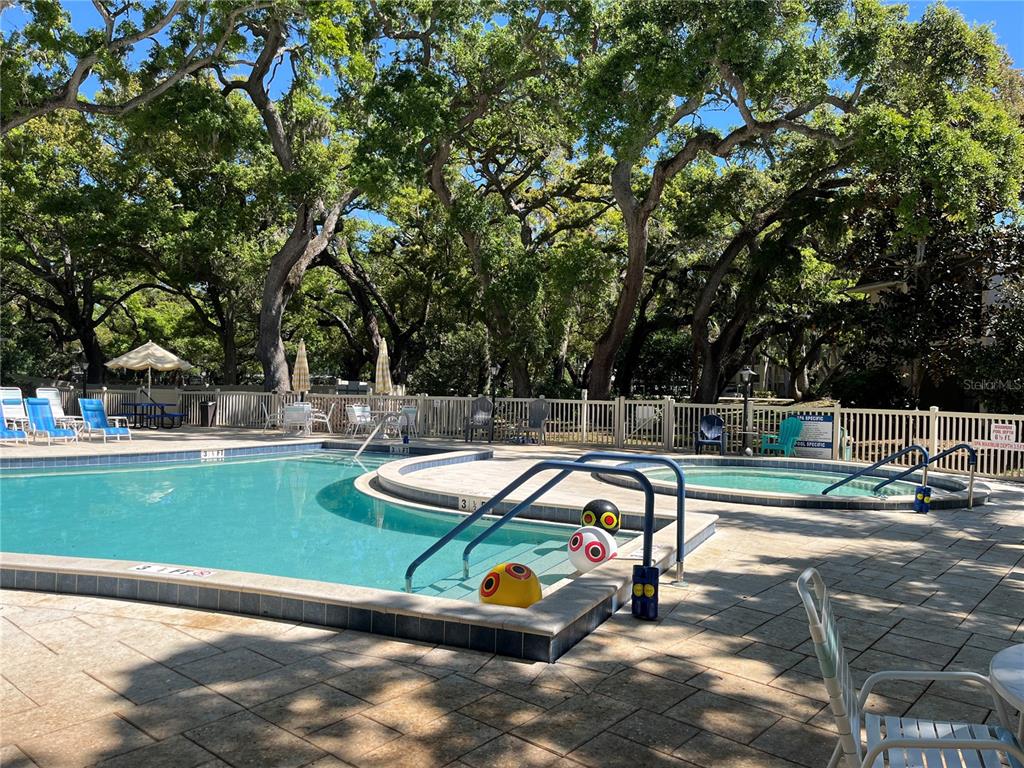 870 Virginia Street, Unit 111 Dunedin, FL 34698 - Photo 5 of 43