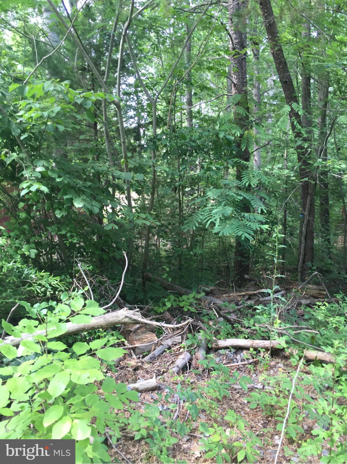 29.13 Acres, Minutes to Lake Anna