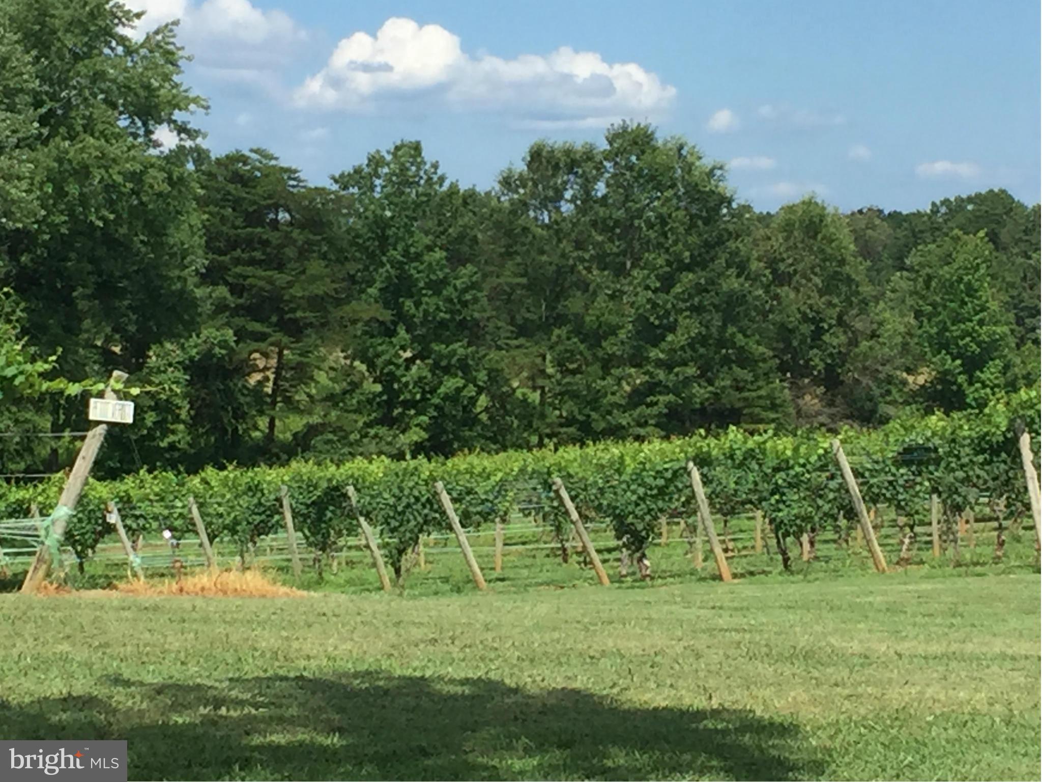 Lake Anna Winery