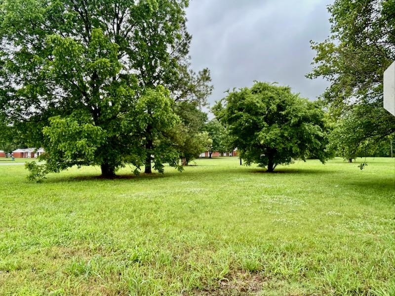 0 South Church Street Ridgely, TN 38080 - Photo 2 of 3 a view of a trees in a yard