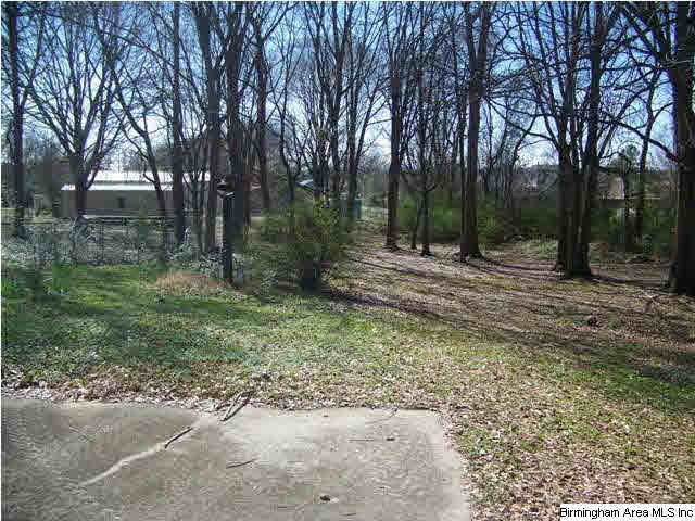 1003 10th Place Southwest Alabaster, AL 35007 - Photo 14 of 14 Gallery Image 14
