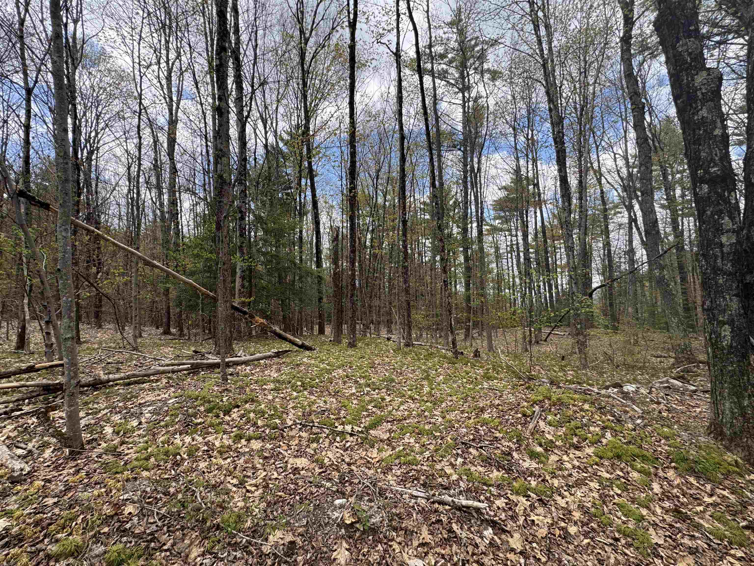 0 Esty Road Westmoreland, NH 03467 - Photo 2 of 4