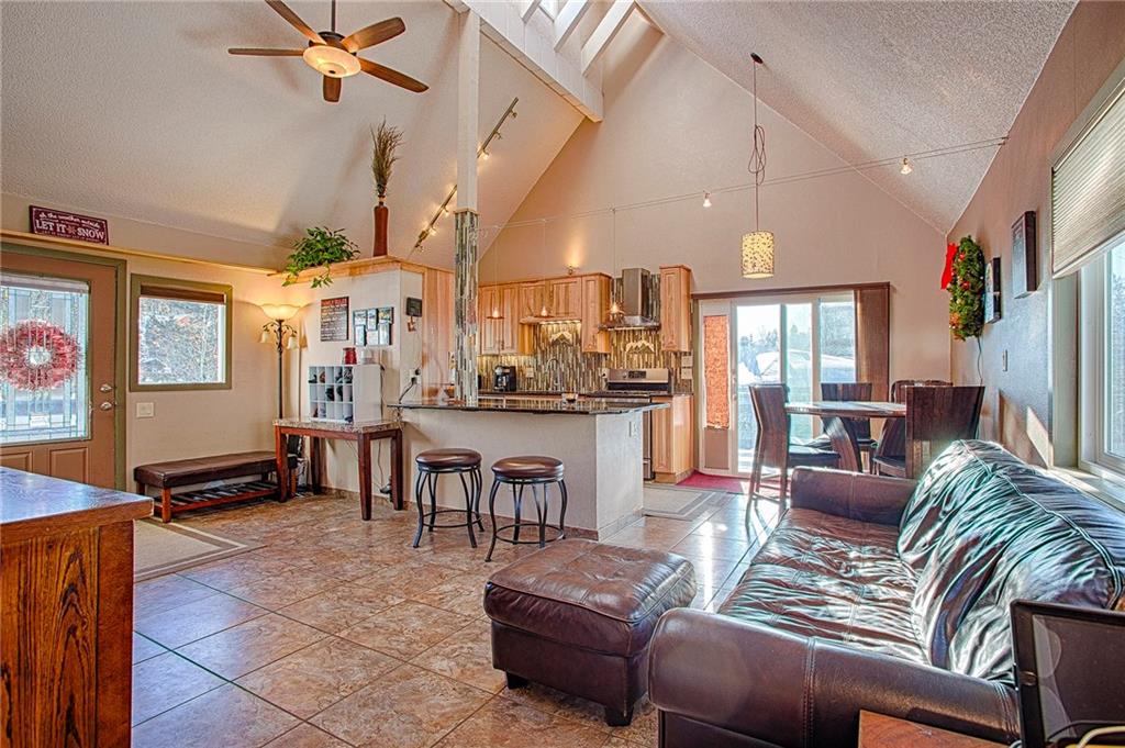 353-355 Big Elk Road Dillon, CO 80435 - Photo 1 of 26 Gallery Image 1