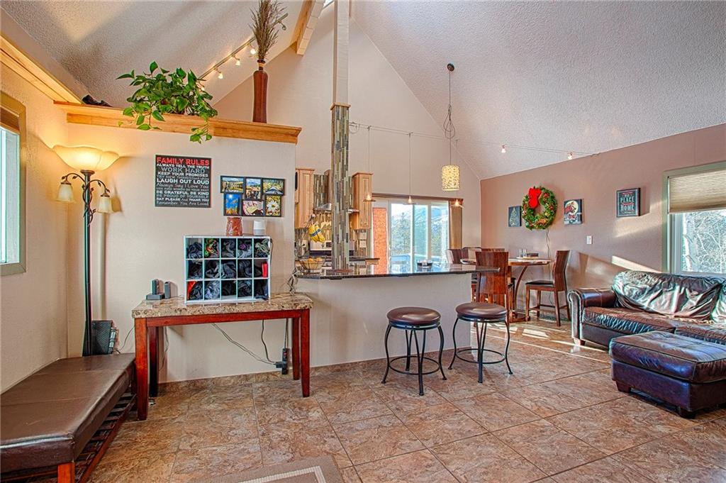 353-355 Big Elk Road Dillon, CO 80435 - Photo 12 of 26 Gallery Image 12