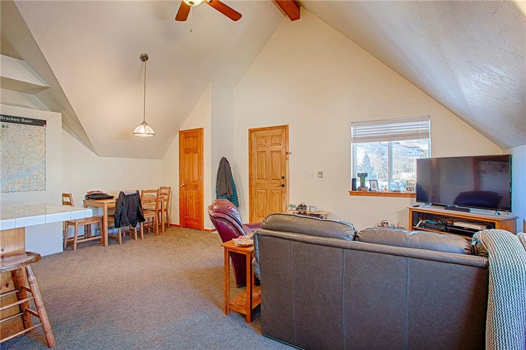 353-355 Big Elk Road Dillon, CO 80435 - Photo 19 of 26 Gallery Image 19