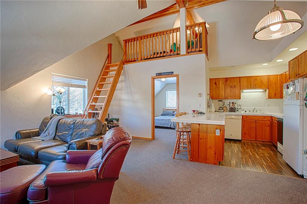 353-355 Big Elk Road Dillon, CO 80435 - Photo 5 of 26 Gallery Image 5
