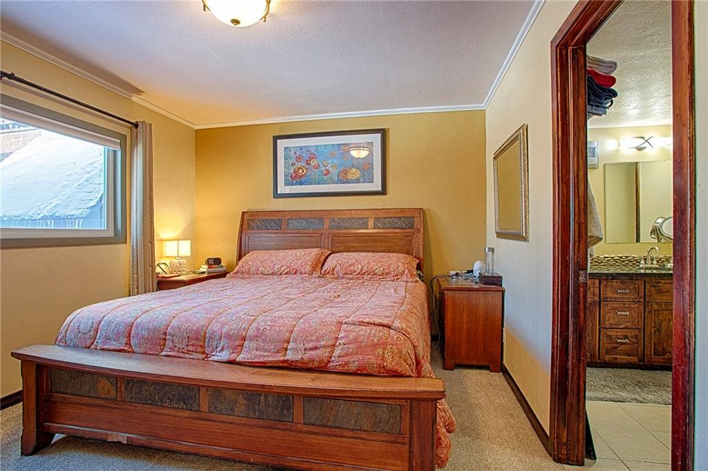 353-355 Big Elk Road Dillon, CO 80435 - Photo 6 of 26 Gallery Image 6