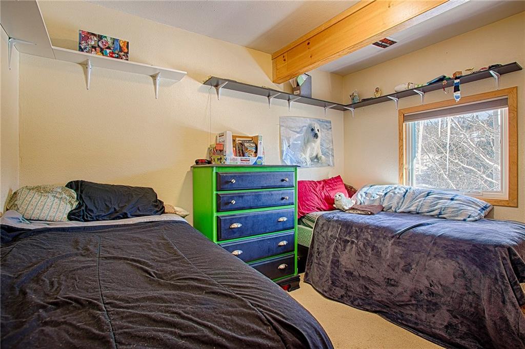 353-355 Big Elk Road Dillon, CO 80435 - Photo 7 of 26 Gallery Image 7