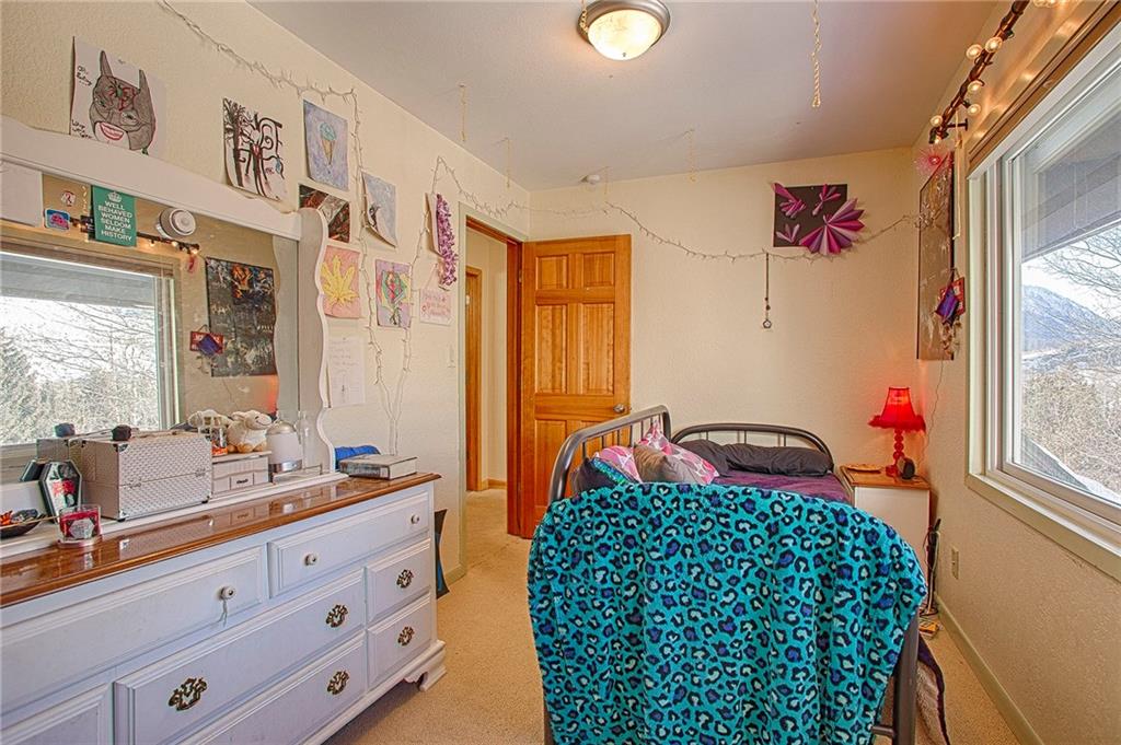 353-355 Big Elk Road Dillon, CO 80435 - Photo 8 of 26 Gallery Image 8