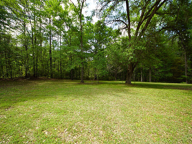 570 County Rd S-18-349 Ridgeville, SC 29472 - Photo 34 of 44 Room for Pool / Garden