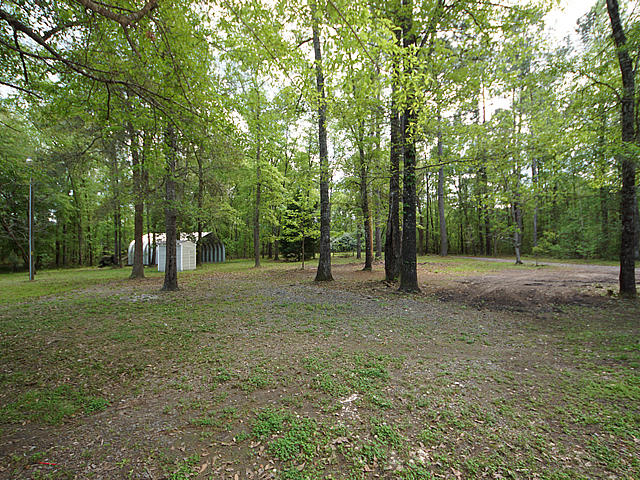 570 County Rd S-18-349 Ridgeville, SC 29472 - Photo 38 of 44 Tons of Shade