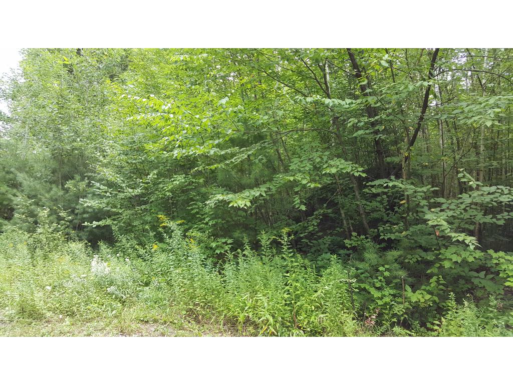57 Spring Street Hillsborough, NH 03244 - Photo 2 of 2 Gallery Image 2