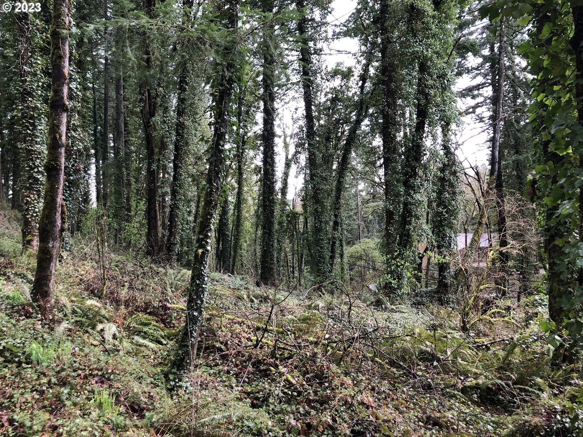 19088 Southwest Barton Road Lake Oswego, OR 97034 - Photo 1 of 6