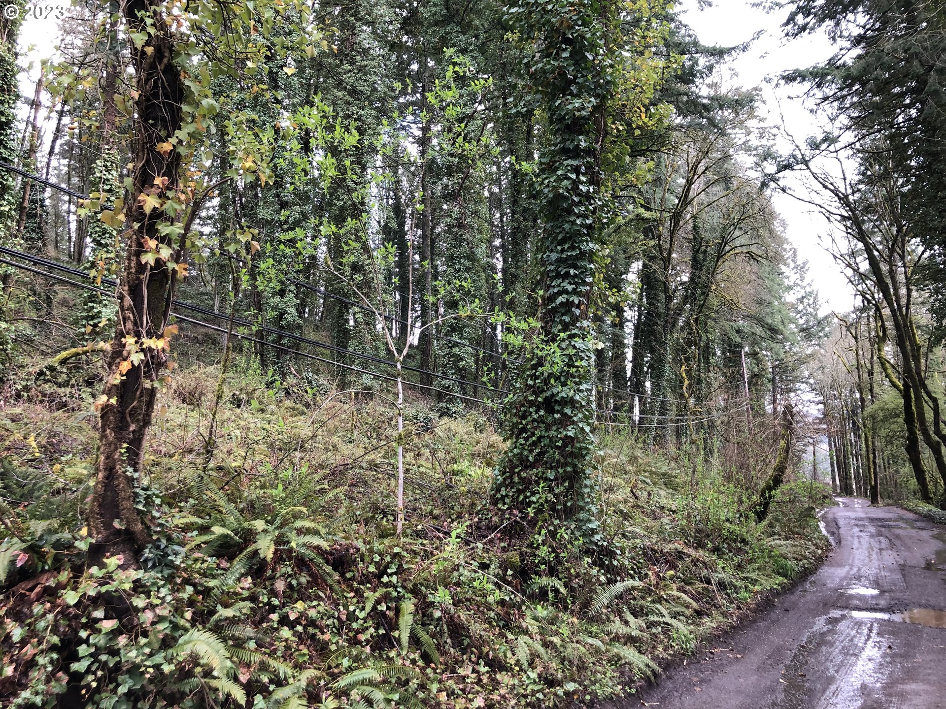 19088 Southwest Barton Road Lake Oswego, OR 97034 - Photo 3 of 6