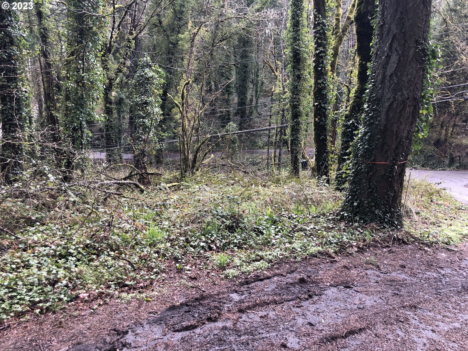 19088 Southwest Barton Road Lake Oswego, OR 97034 - Photo 4 of 6