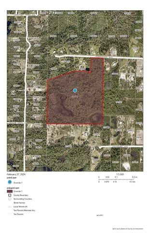 a black and white photo of a lake