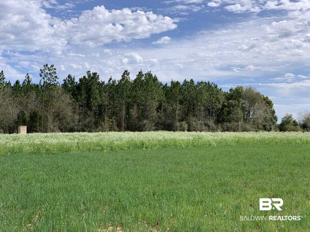 17525 Joe Gottler Road Elberta, AL 36530 - Photo 2 of 44