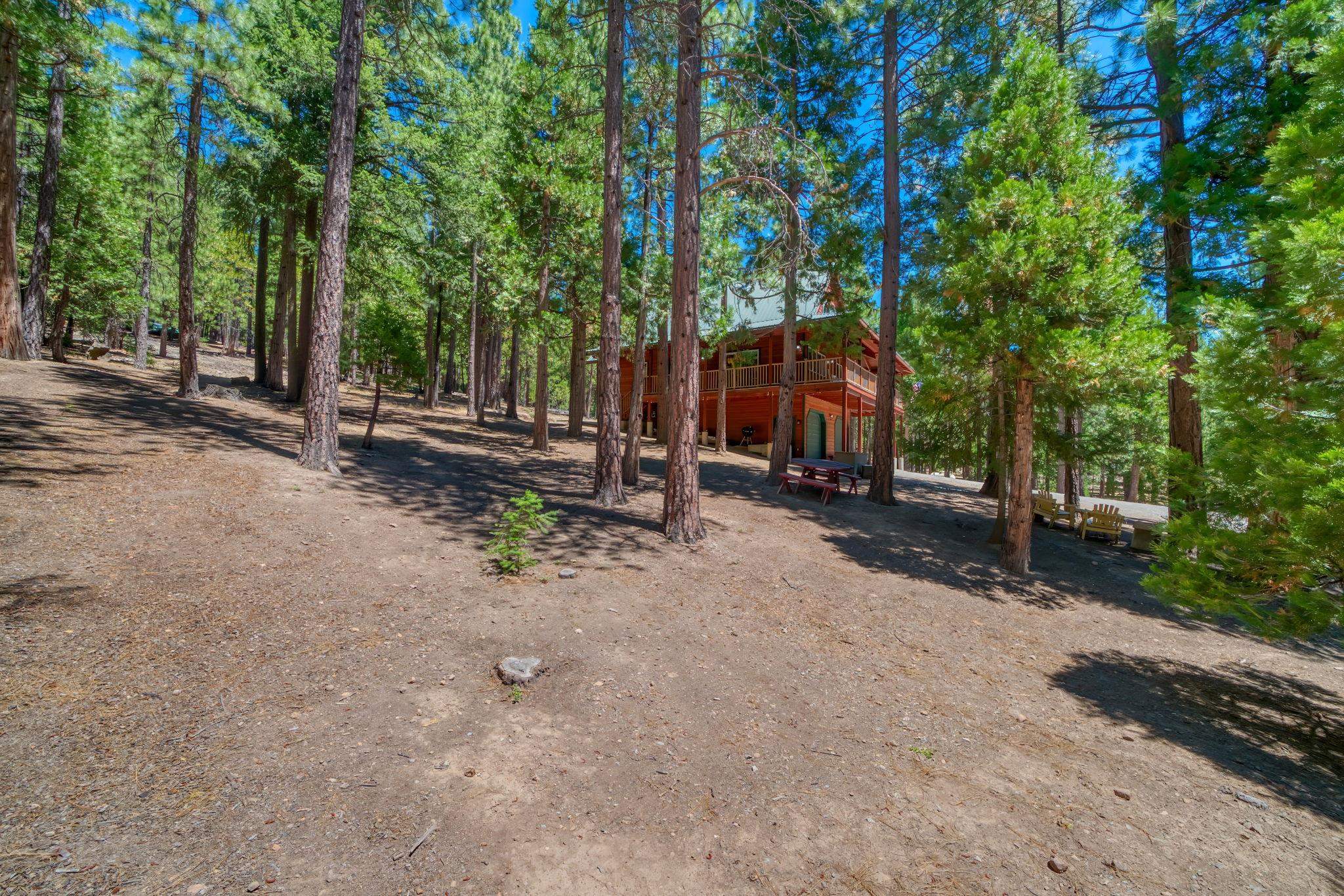 69467 Chipmunk Road Blairsden, CA 96103 - Photo 42 of 50
