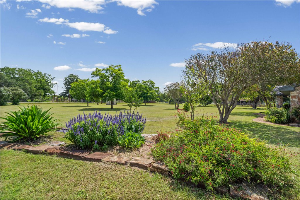 2421 Post Oak Road Webberville, TX 78653 - Photo 4 of 36 Beyond the landscaping, it’s just wide-open green pastures and mature trees.
