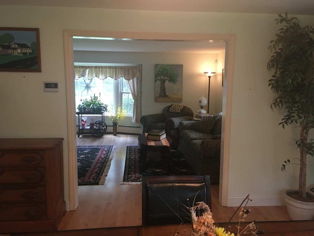18 Butternut Drive Sutton, MA 01590 - Photo 10 of 34 a living room with furniture and a potted plant