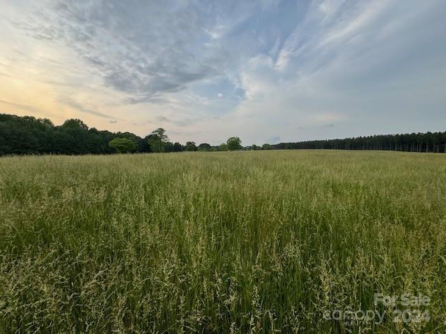 0 Travis Road Conover, NC 28613 - Photo 6 of 10 Gallery Image 6