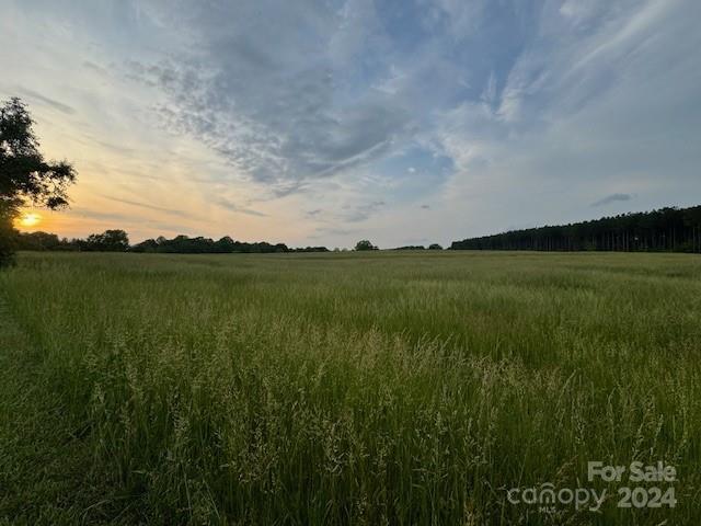 0 Travis Road Conover, NC 28613 - Photo 8 of 10 Gallery Image 8