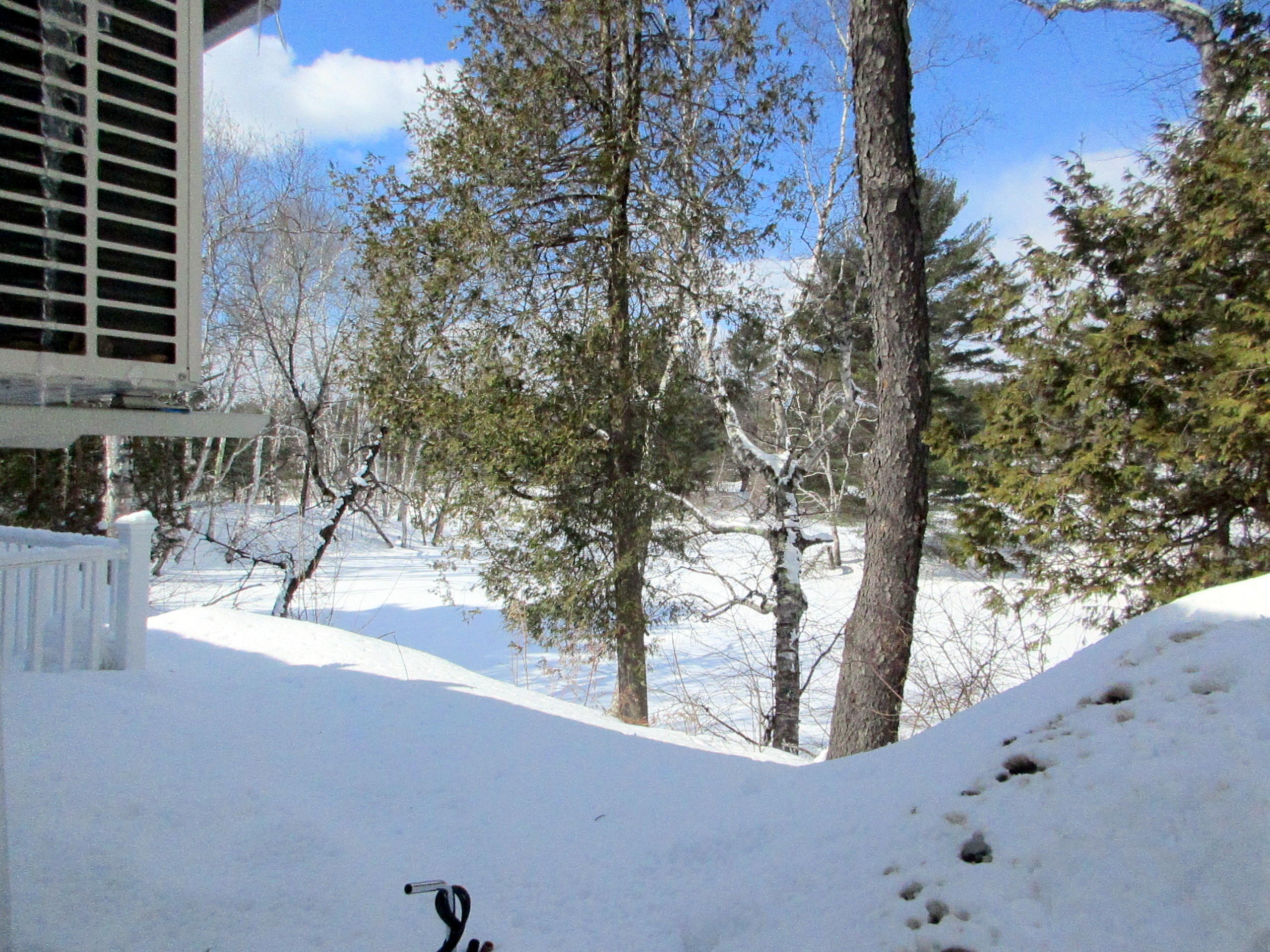 246 Skowhegan Road Norridgewock, ME 04957 - Photo 15 of 21 Back yard view