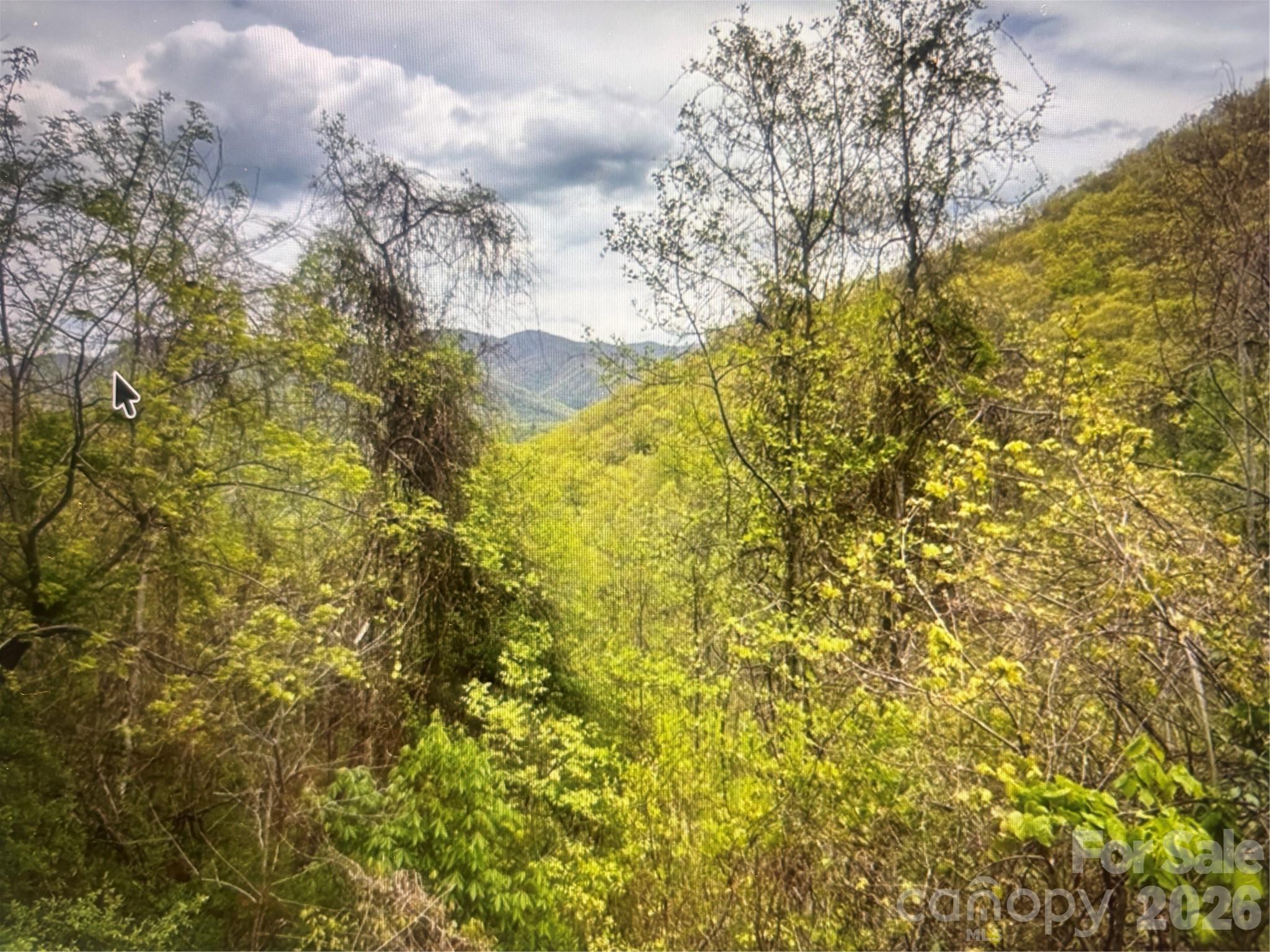0 Huckleberry Walk, Unit 61 Bryson City, NC 28713 - Photo 6 of 10