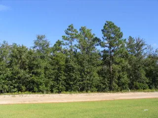 $30,000 | 0 Shore Drive, Unit LOT 36, Orangeburg, SC 29118