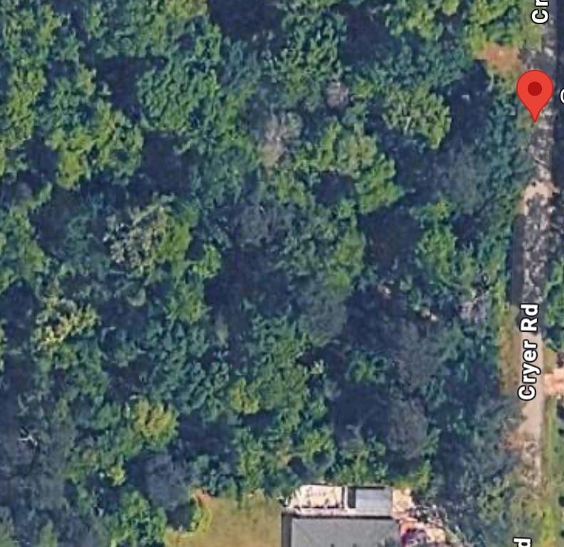 0 Cryer Road Abita Springs, LA 70420 - Photo 2 of 2