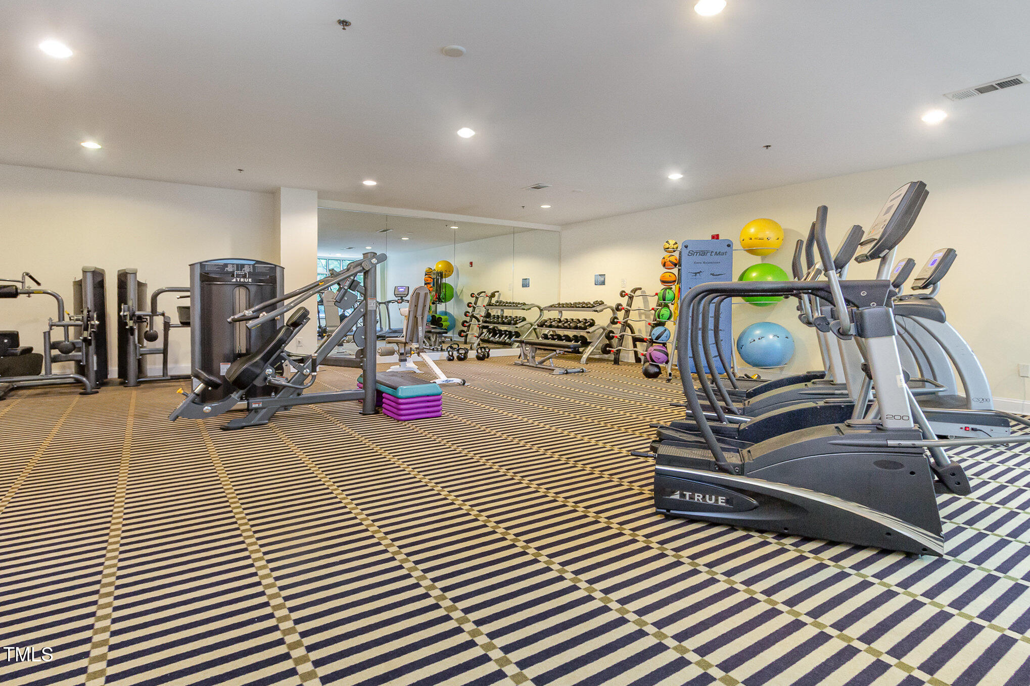 618 North Boylan Avenue, Unit 520 Raleigh, NC 27603 - Photo 20 of 27 a room with lots of gym equipment