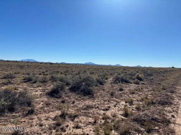 a view of a dry field