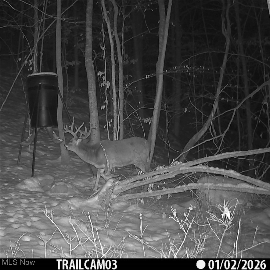 399 Township Road Coshocton, OH 43812 - Photo 48 of 50