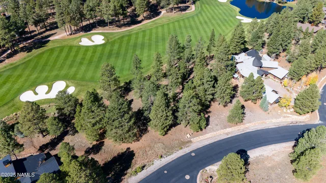 a view of a garden with a flower