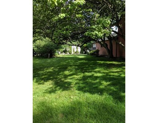 234 Central Avenue Needham, MA 02494 - Photo 5 of 17