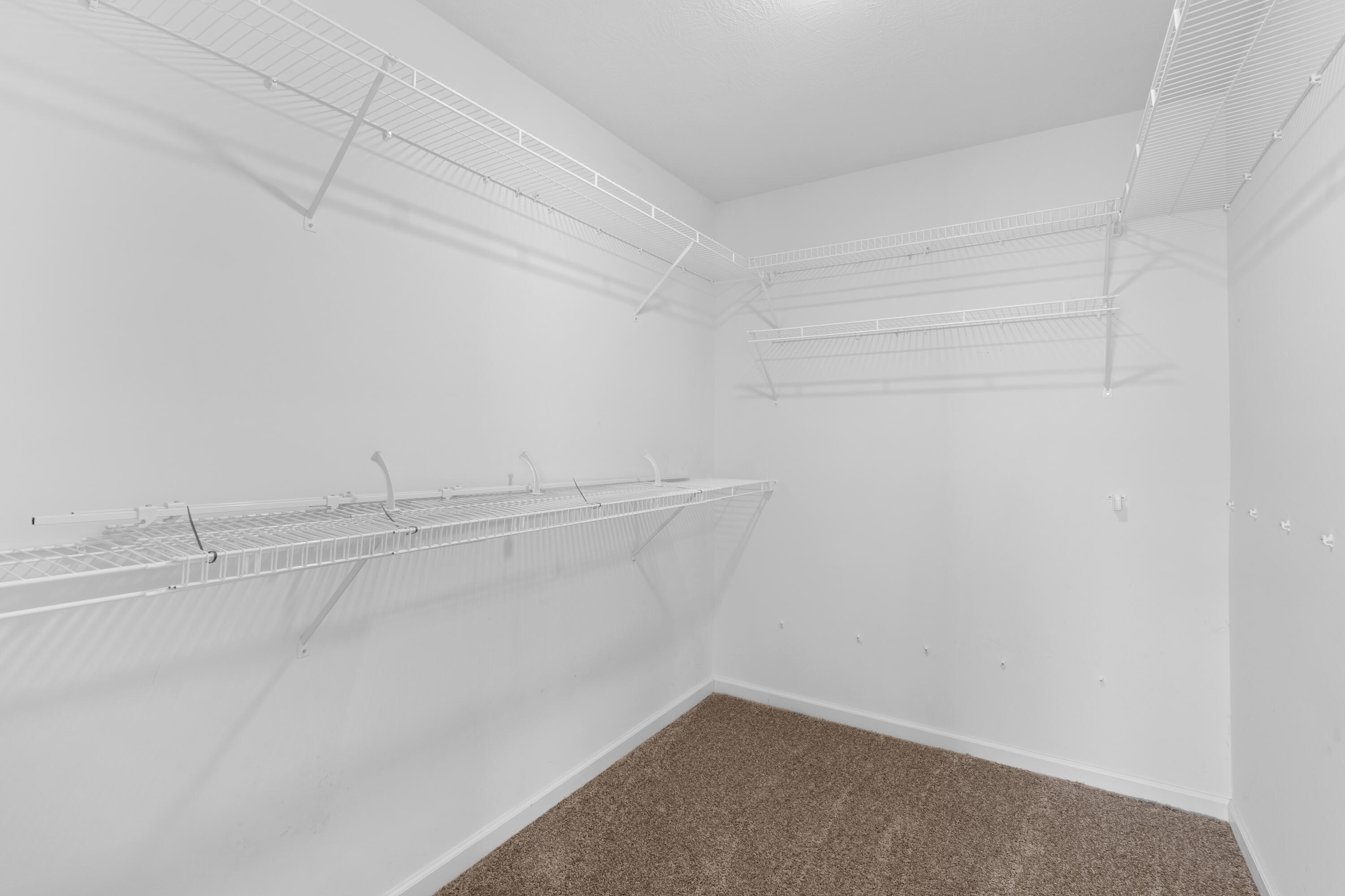 1203 Belgrove Drive Augusta, GA 30909 - Photo 29 of 43 DSC06640