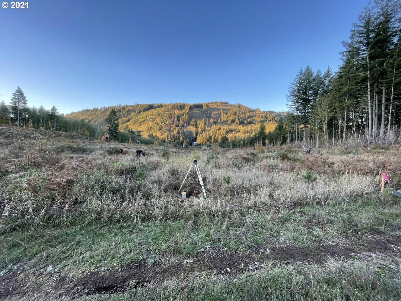 0 Northeast Sunset Falls Road Yacolt, WA 98675 - Photo 1 of 5 Gallery Image 1