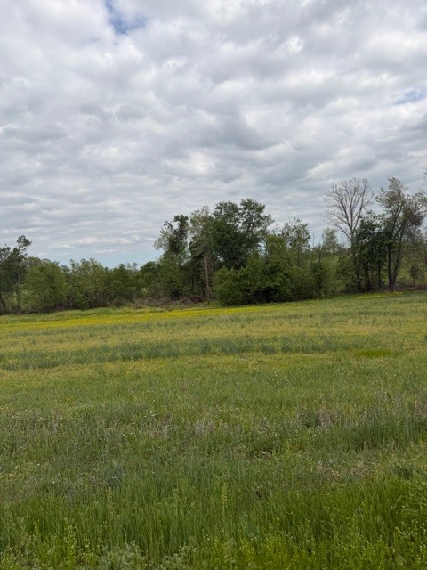 7770 Akersville Road Lafayette, TN 37083 - Photo 1 of 9