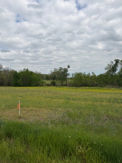 7770 Akersville Road Lafayette, TN 37083 - Photo 2 of 9