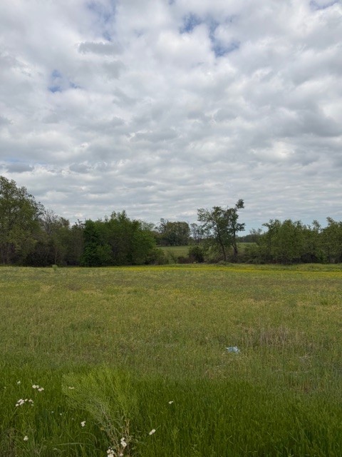 7770 Akersville Road Lafayette, TN 37083 - Photo 3 of 9