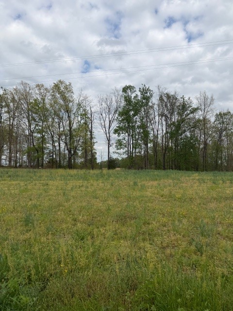7770 Akersville Road Lafayette, TN 37083 - Photo 4 of 9