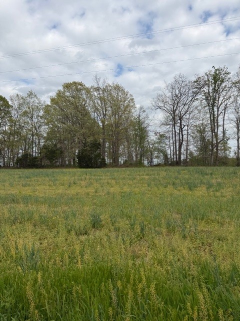 7770 Akersville Road Lafayette, TN 37083 - Photo 5 of 9