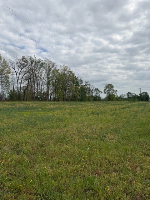 7770 Akersville Road Lafayette, TN 37083 - Photo 8 of 9