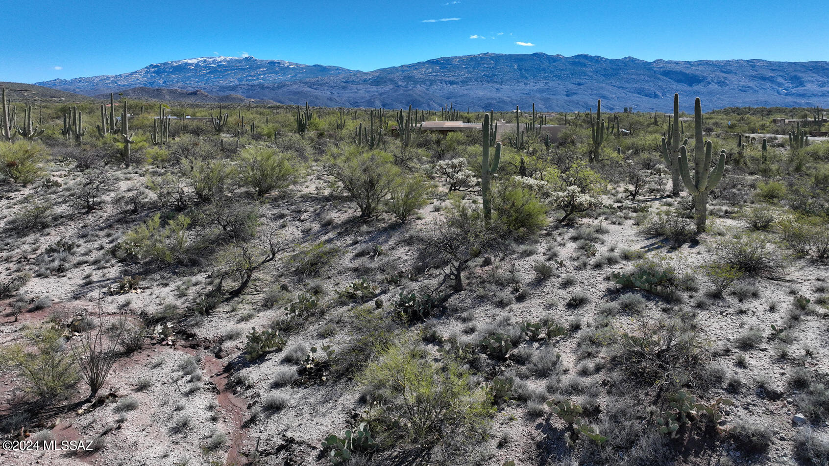12555 East Fort Lowell Road Tucson, AZ 85749 - Photo 7 of 24 Gallery Image 7