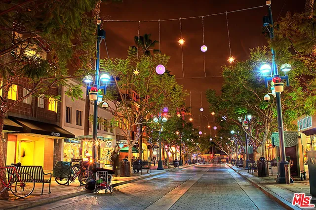 $3,795 | 1241 5th Street, Unit 308, Santa Monica, CA 90401