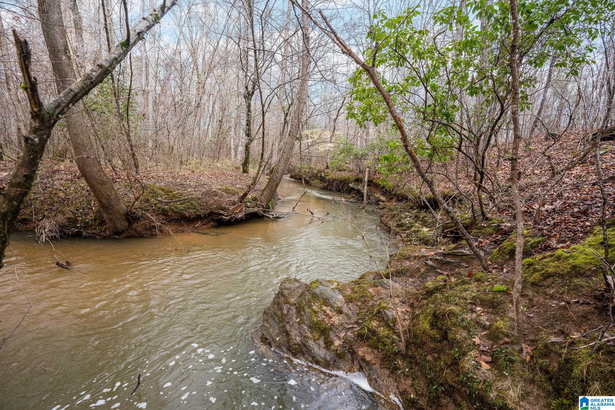 0 Highway 49 Lineville, AL 36266 - Photo 11 of 18