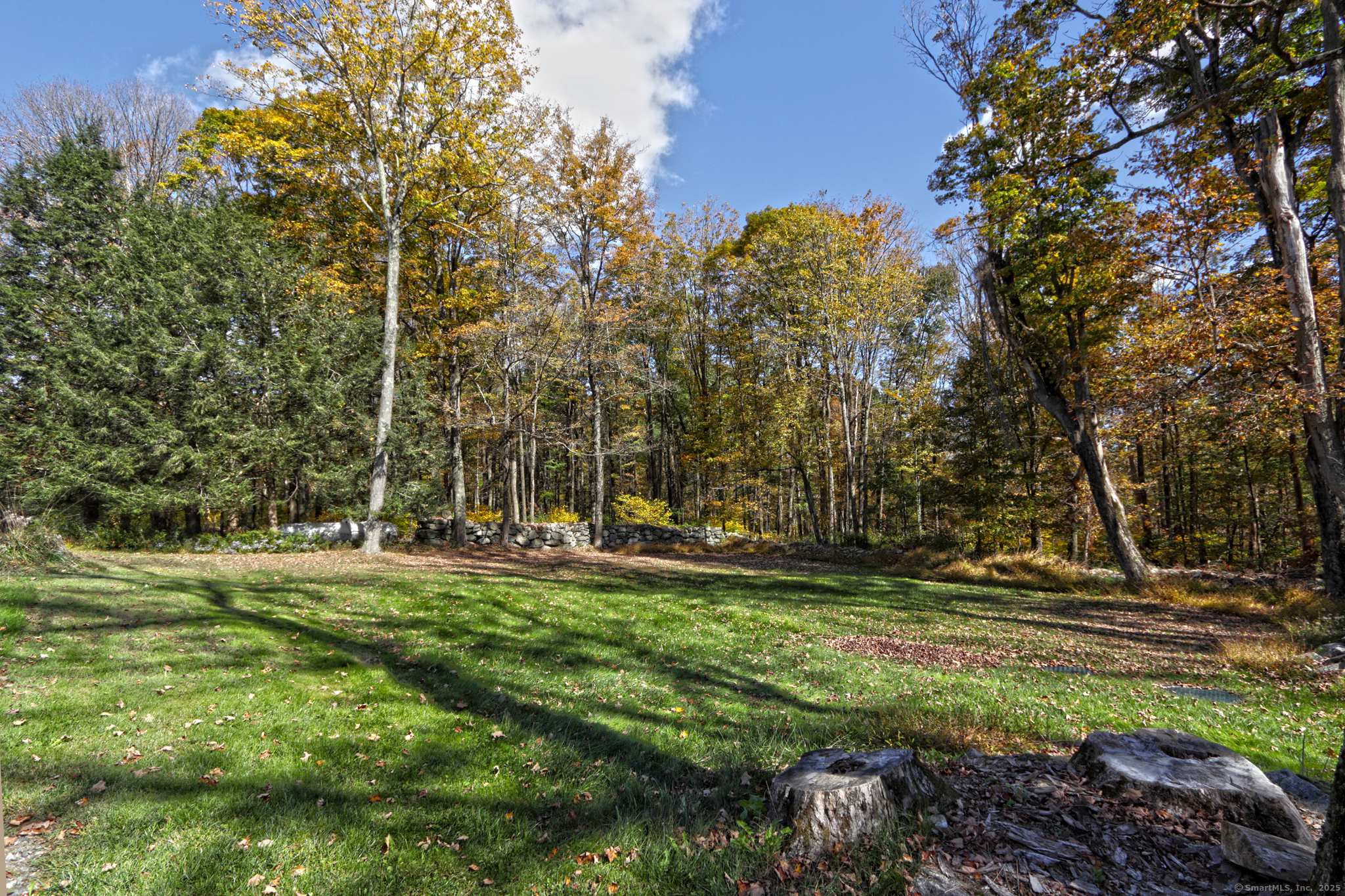 562 Amity Road, Unit D Bethany, CT 06524 - Photo 36 of 40 a view of outdoor space with trees all around